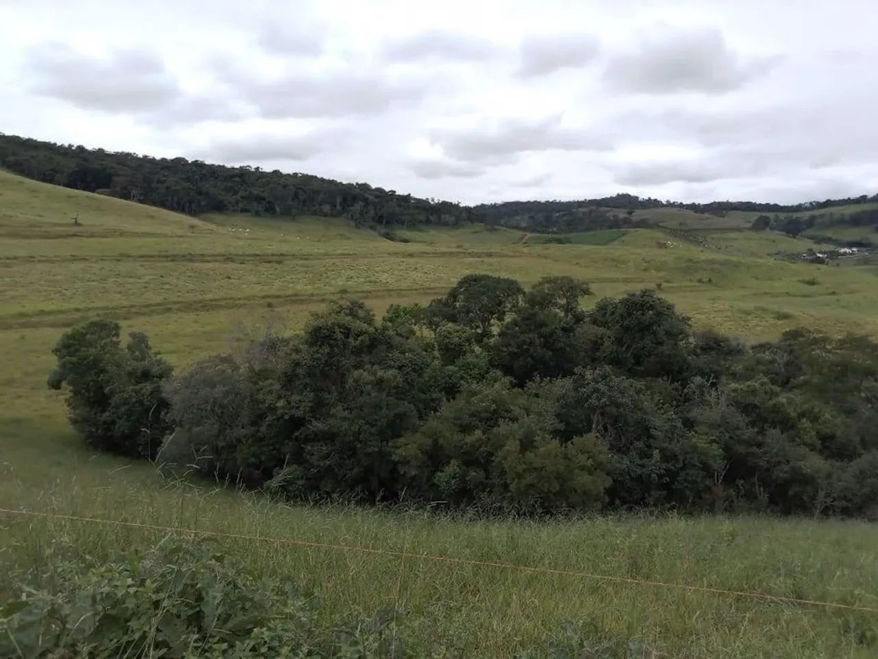 Fazenda com 130,80 hectares e curral completo em Itamonte - MG. - Foto 4