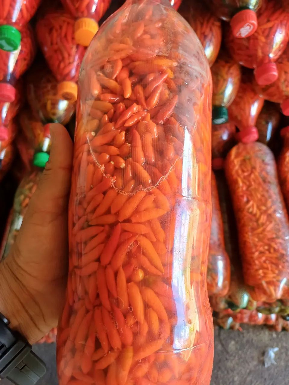 Pimenta malagueta - Foto 5