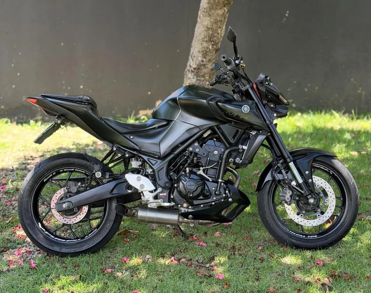 MT 03 - 2019 - Foto 5
