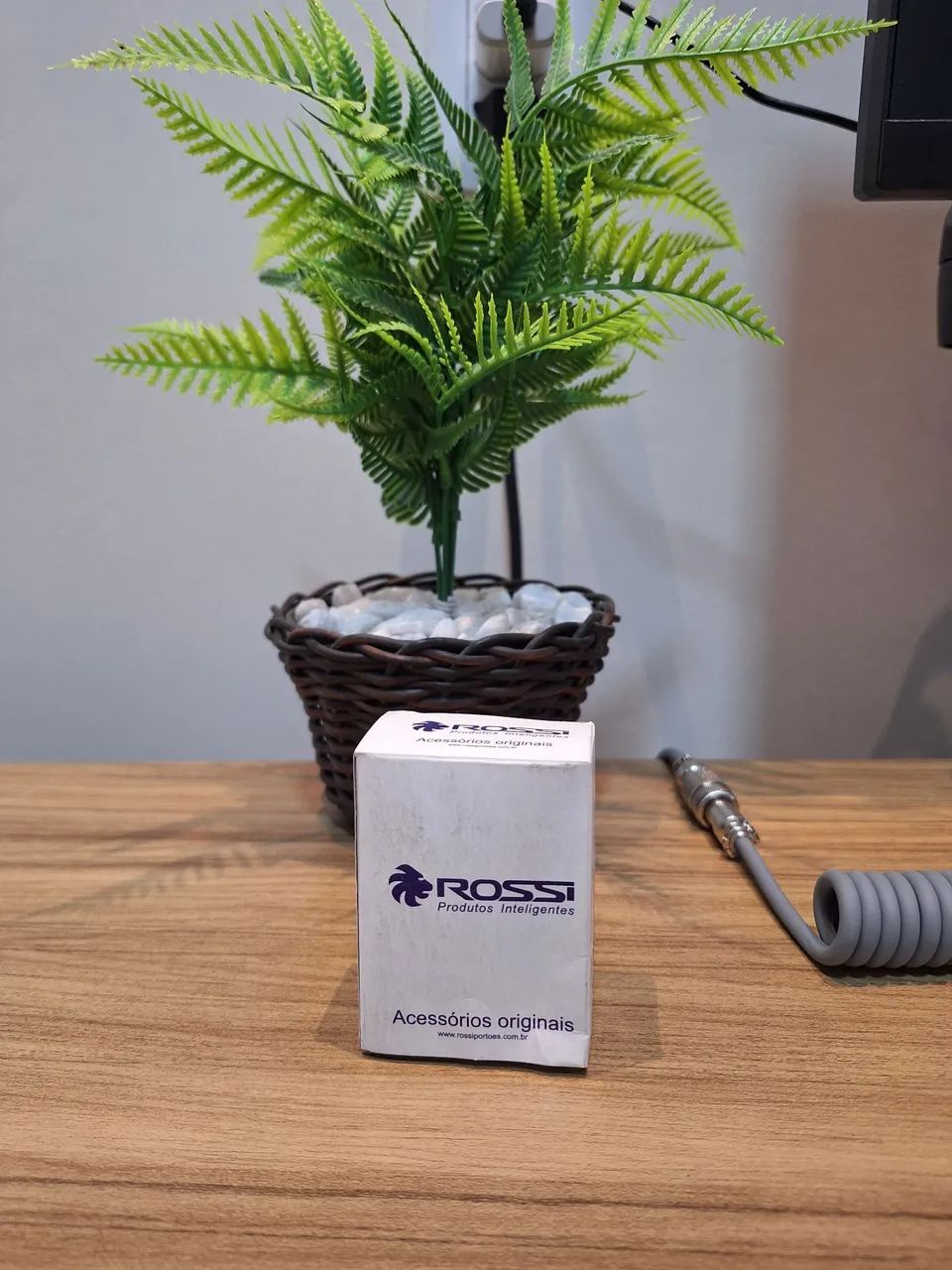 Placa eletrônica da Rossi