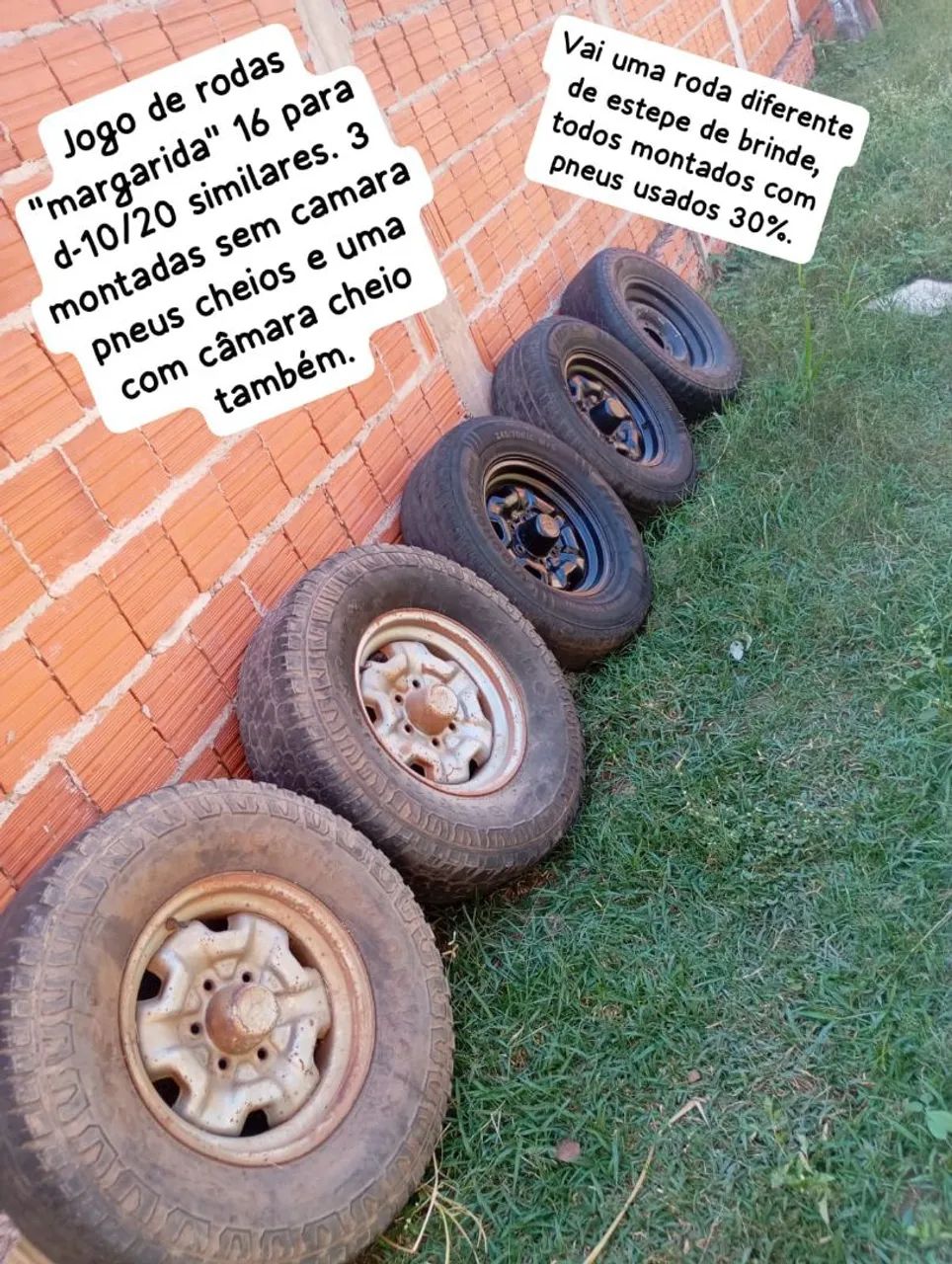 Rodas margarida para D-20