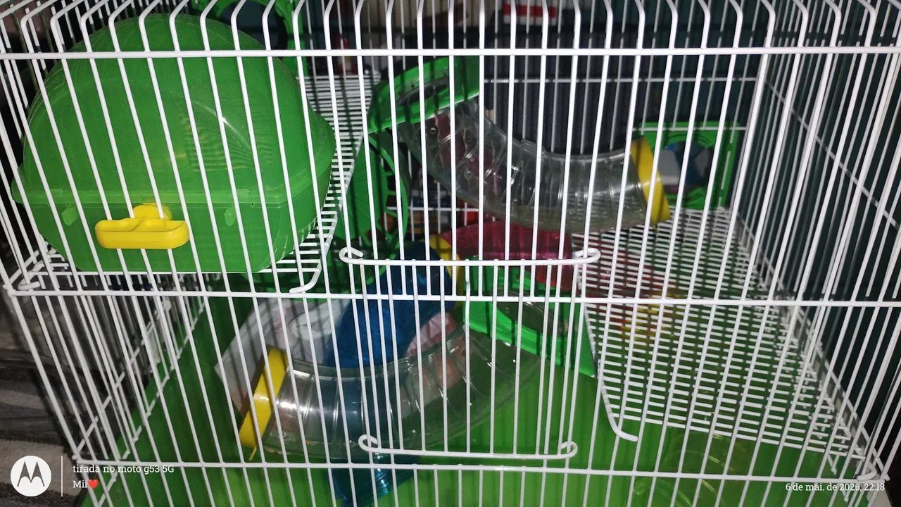 Vendo Gaiola Hamister C/ Acessórios  - Foto 2