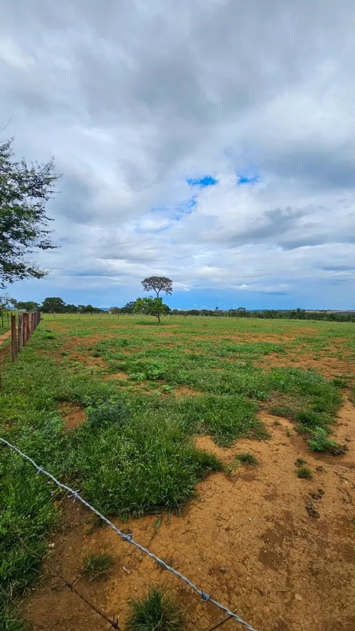 VENDE CHÁCARA - ESTÂNCIA CENTRO OESTE  - Foto 5