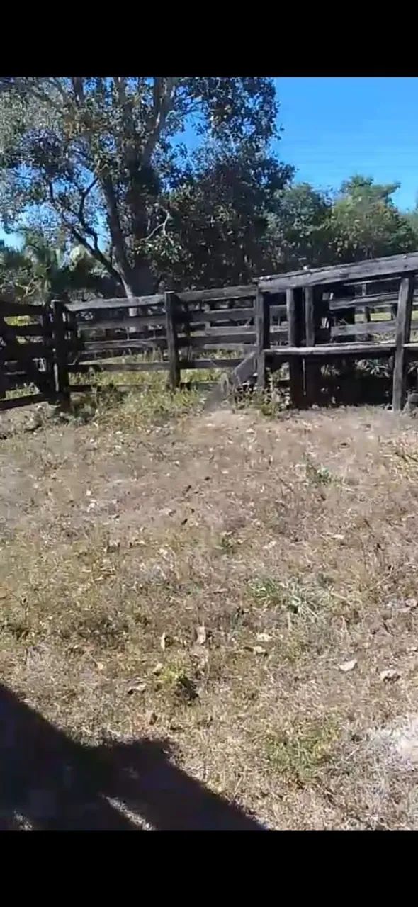 Vende chácara próximo uruaçu 1km da cidade  - Foto 5