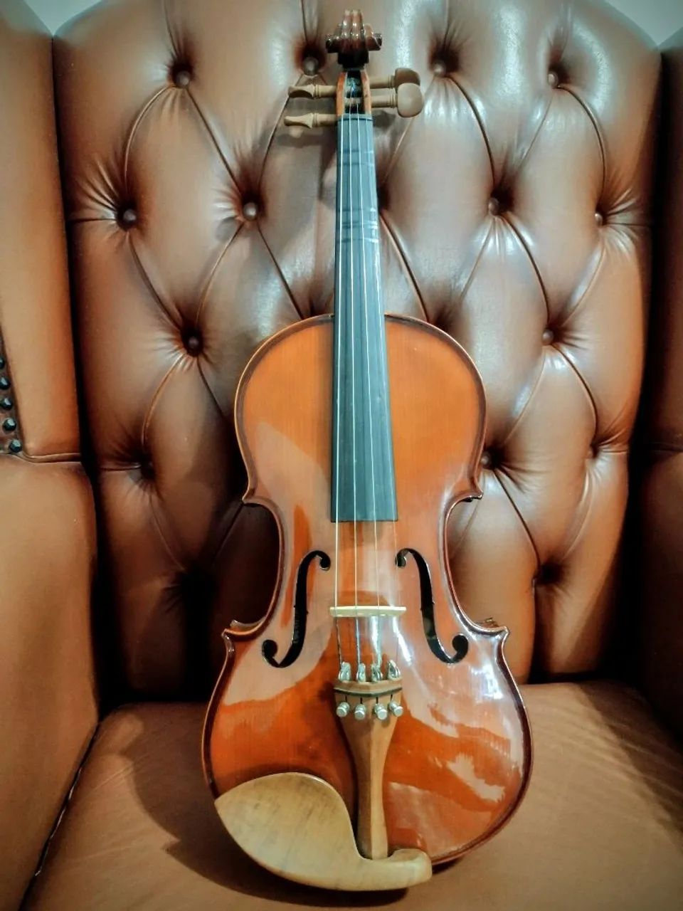 VIOLINO EAGLE VE 441 
