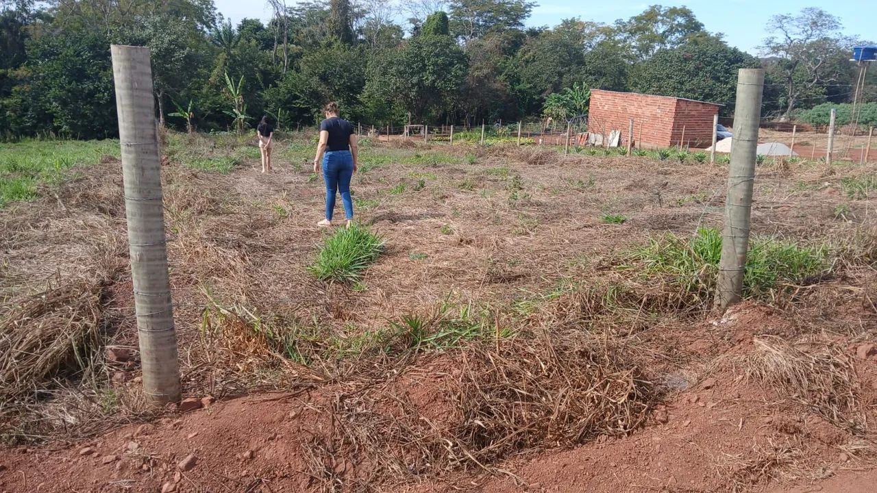  CHÁCARA À VENDA - NERÓPOLIS/GO - Foto 5