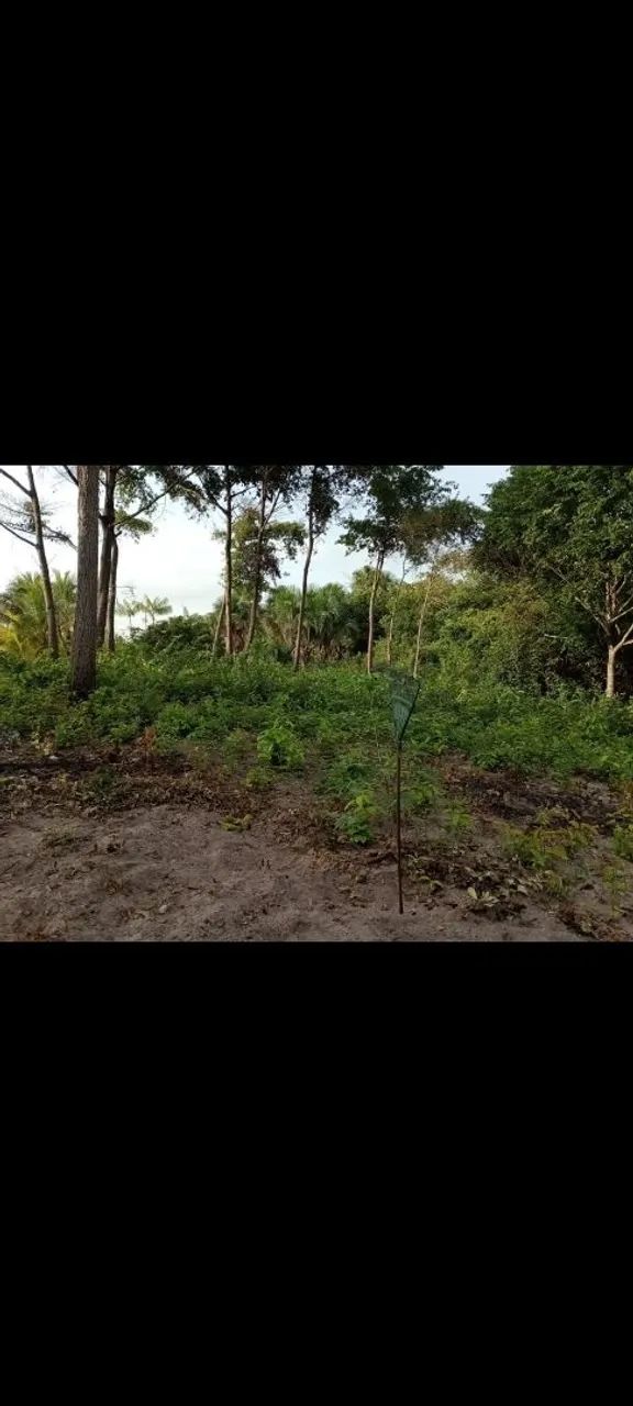 Venda 7 hectares  - Foto 2