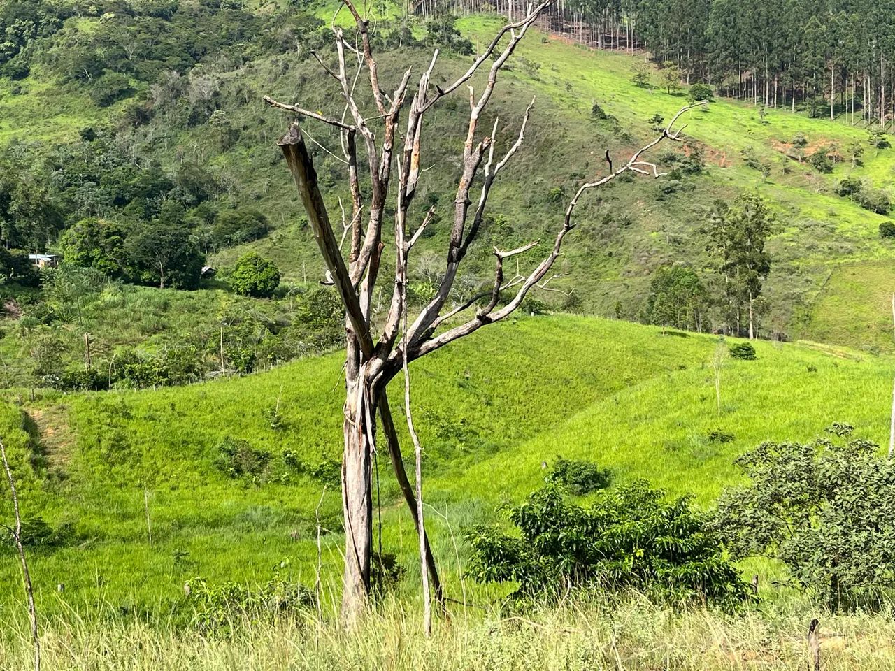 Foto - Mar de Espanha - 