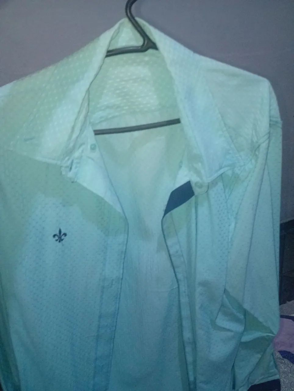 Camisa masculina 