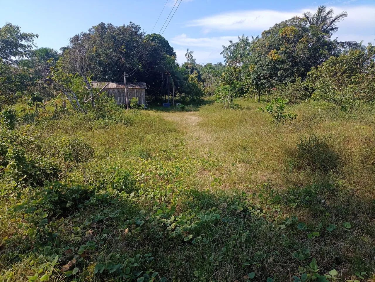 Vendo campo/sitio - Foto 2