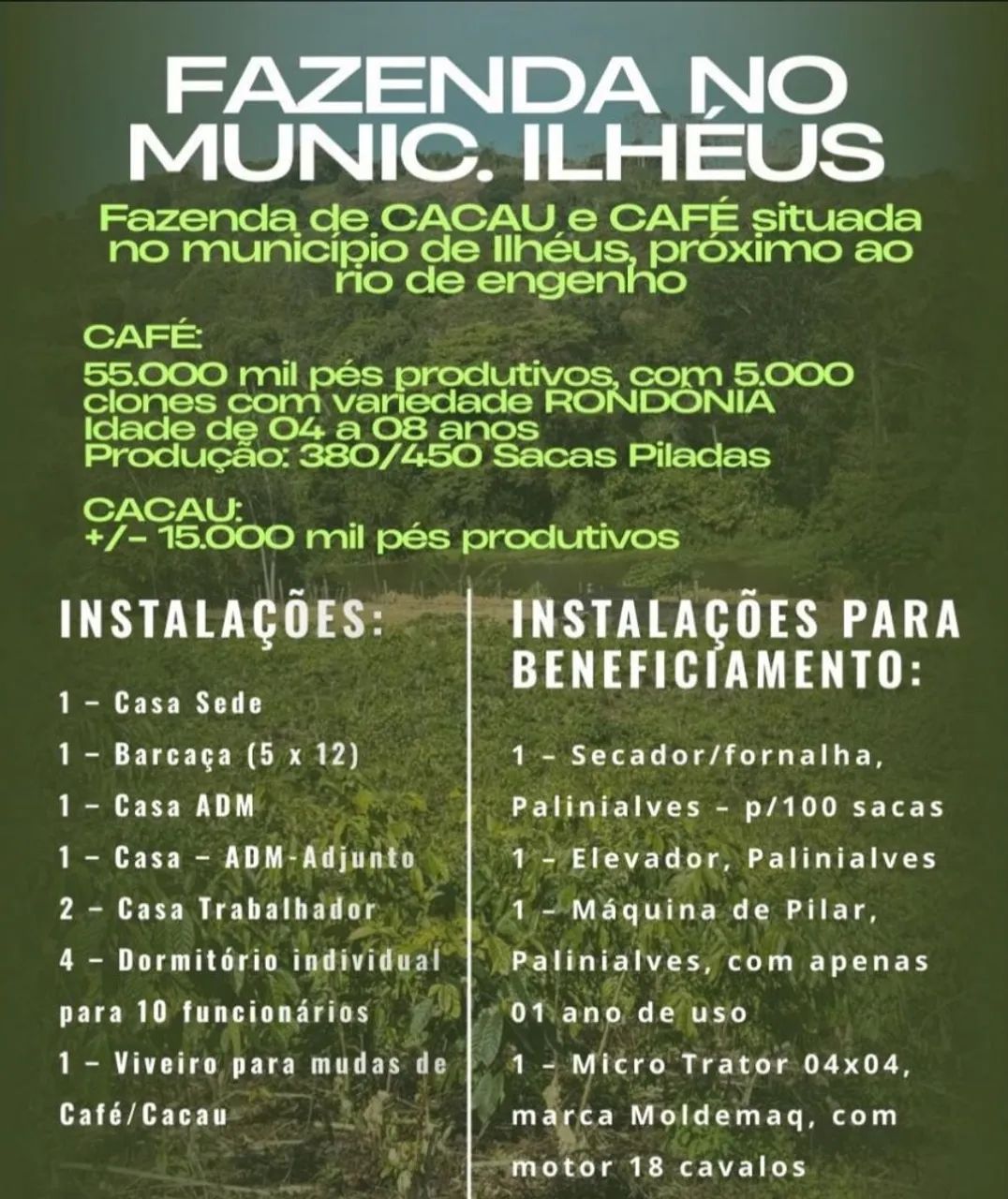Oportunidade 
