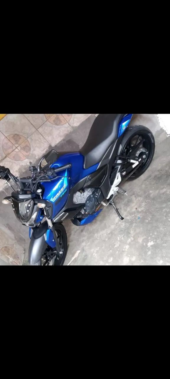 Fz15