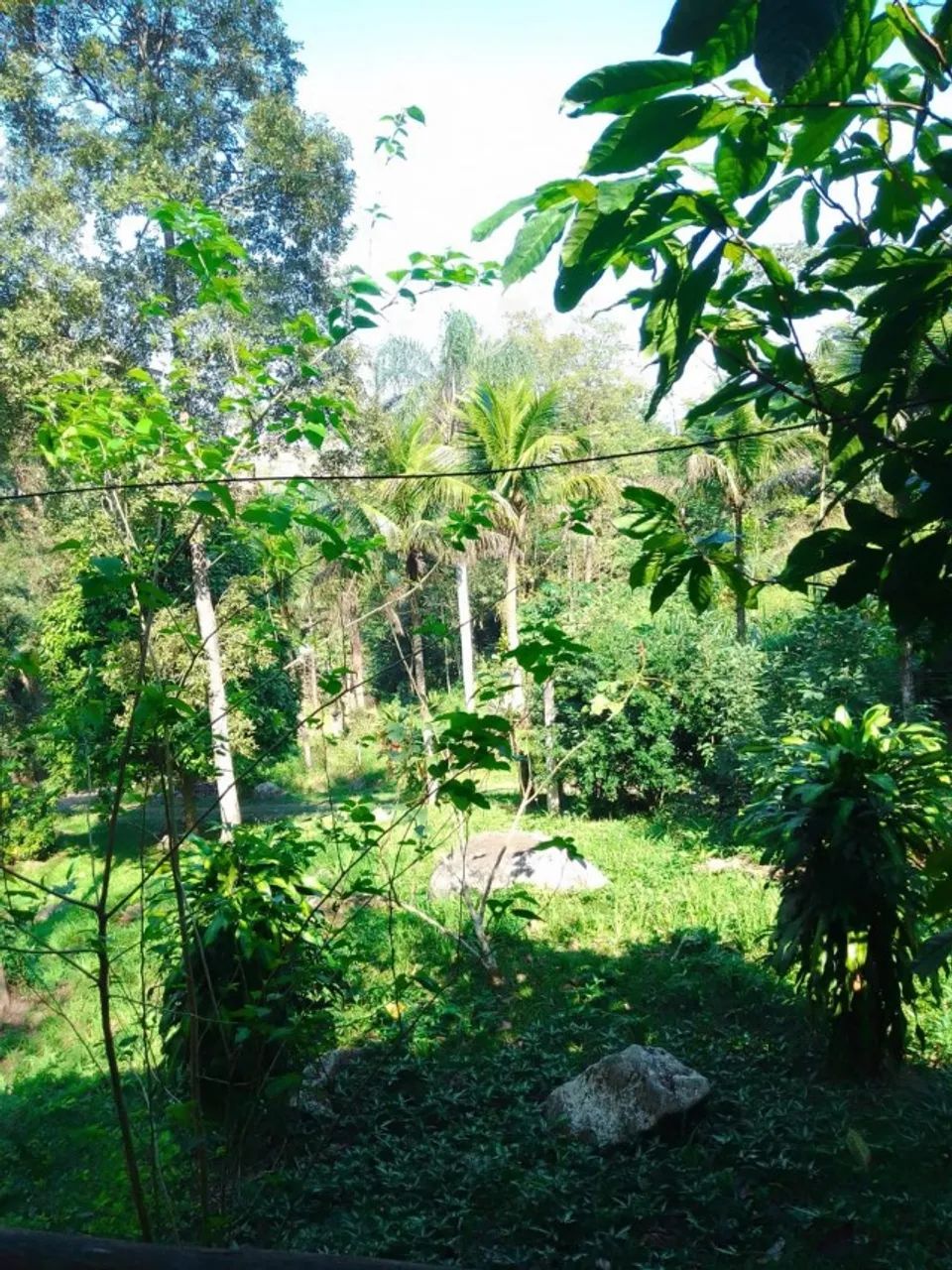 Sítio com 400.000m2 - Foto 3