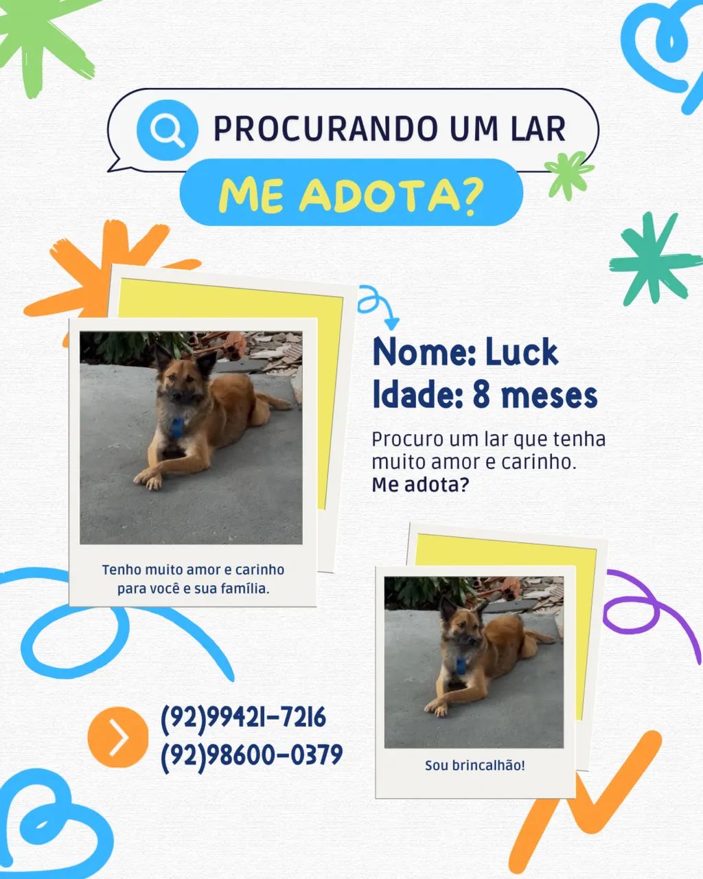 Doação responsável 