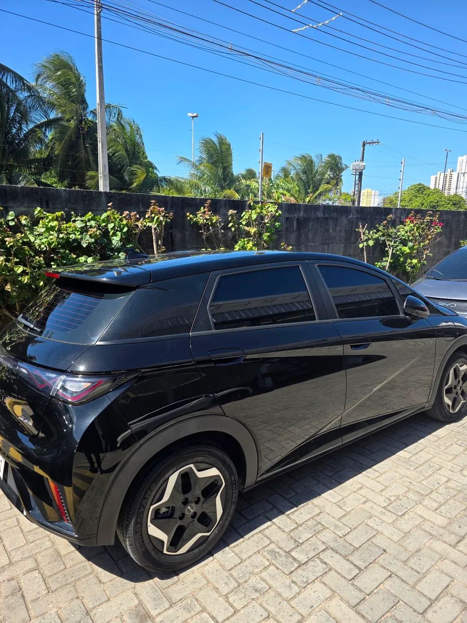 BYD Dolphin EV (Elétrico) 2027 - Foto 3