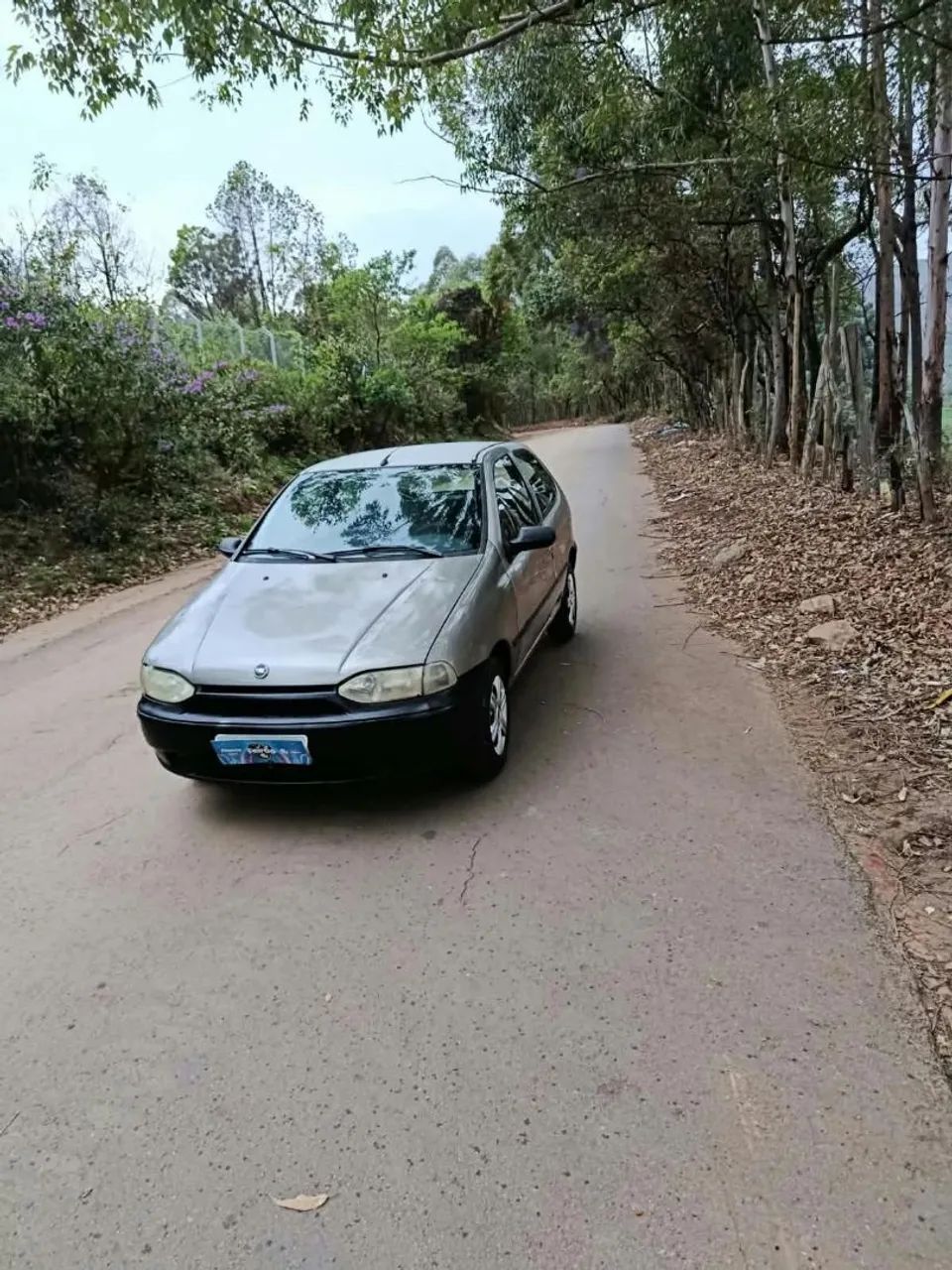 Fiat Palio EX 1.0 MPI 2P 1999