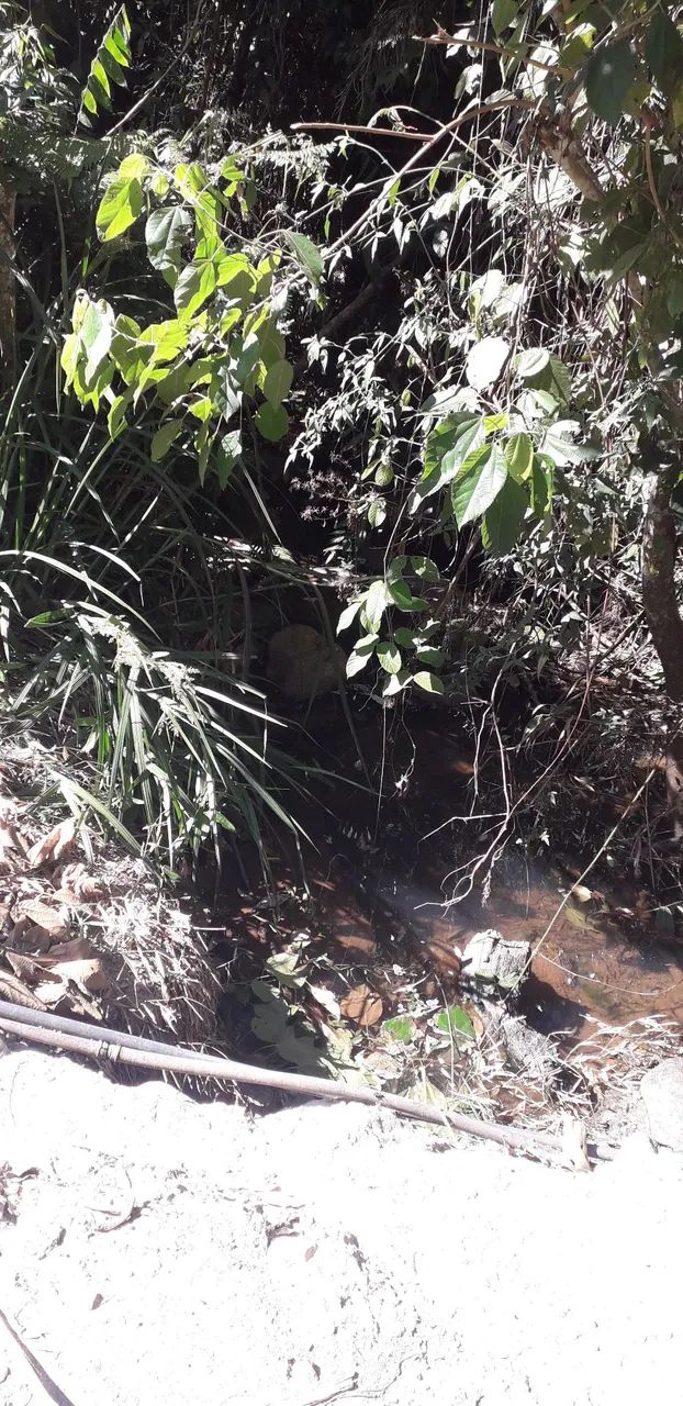 Vendo sítio abundante em água  - Foto 5