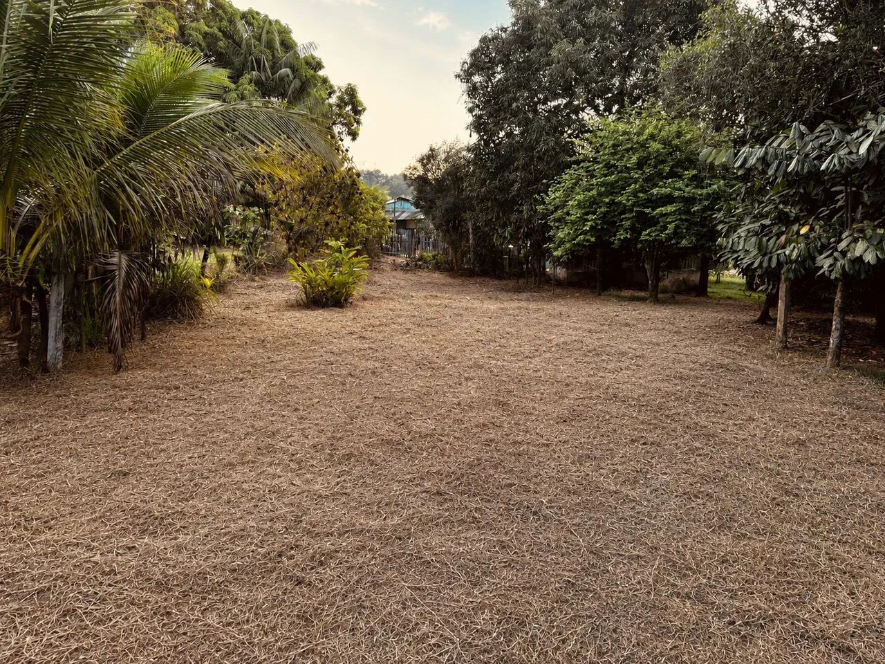 Vende - se Terreno  - Foto 3