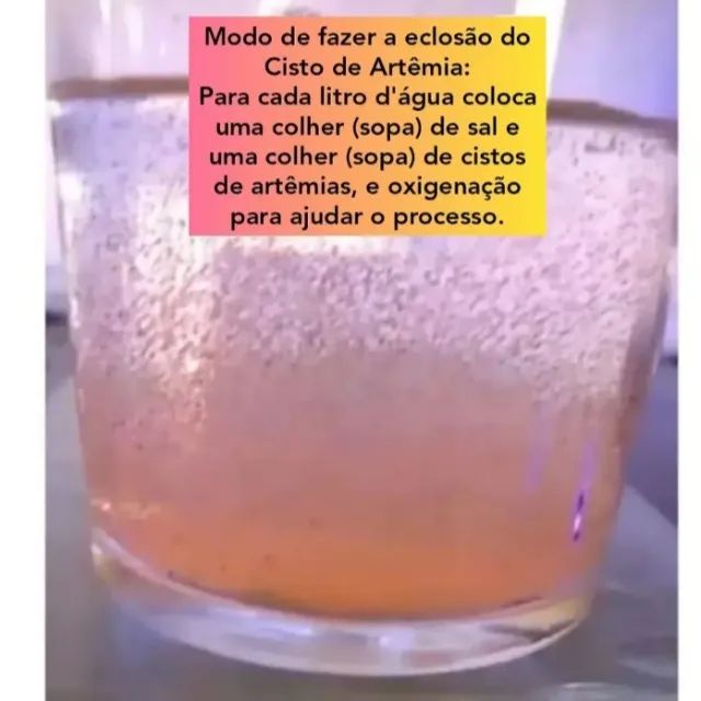 Cisto de artemia salinas 