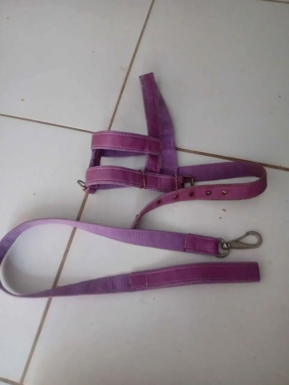 Coleira mais guia para cachorros de grande porte R$ 10,00 - Foto 2