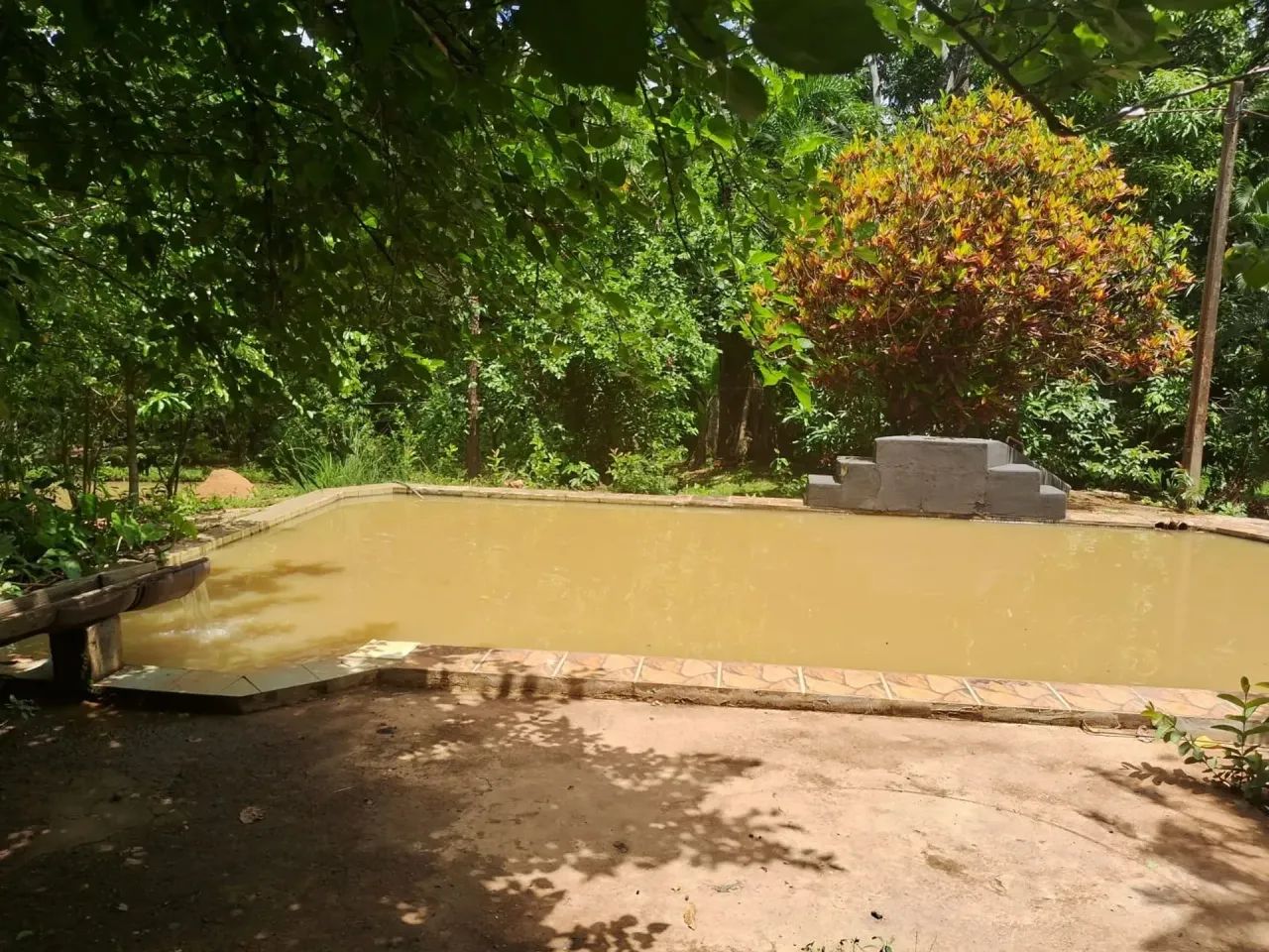 chácara bela vista - Foto 3