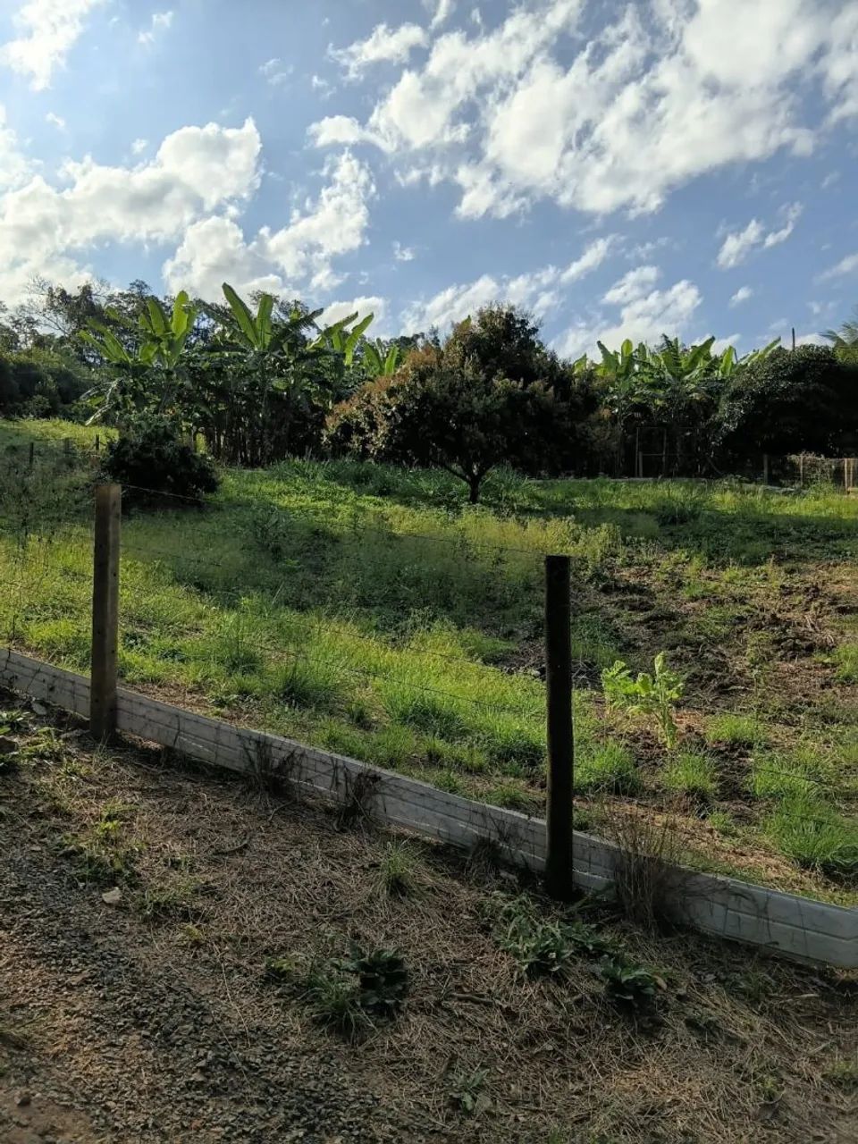 Chacara a venda  - Foto 3