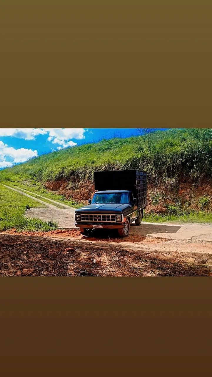 Ford F-1000 1990
