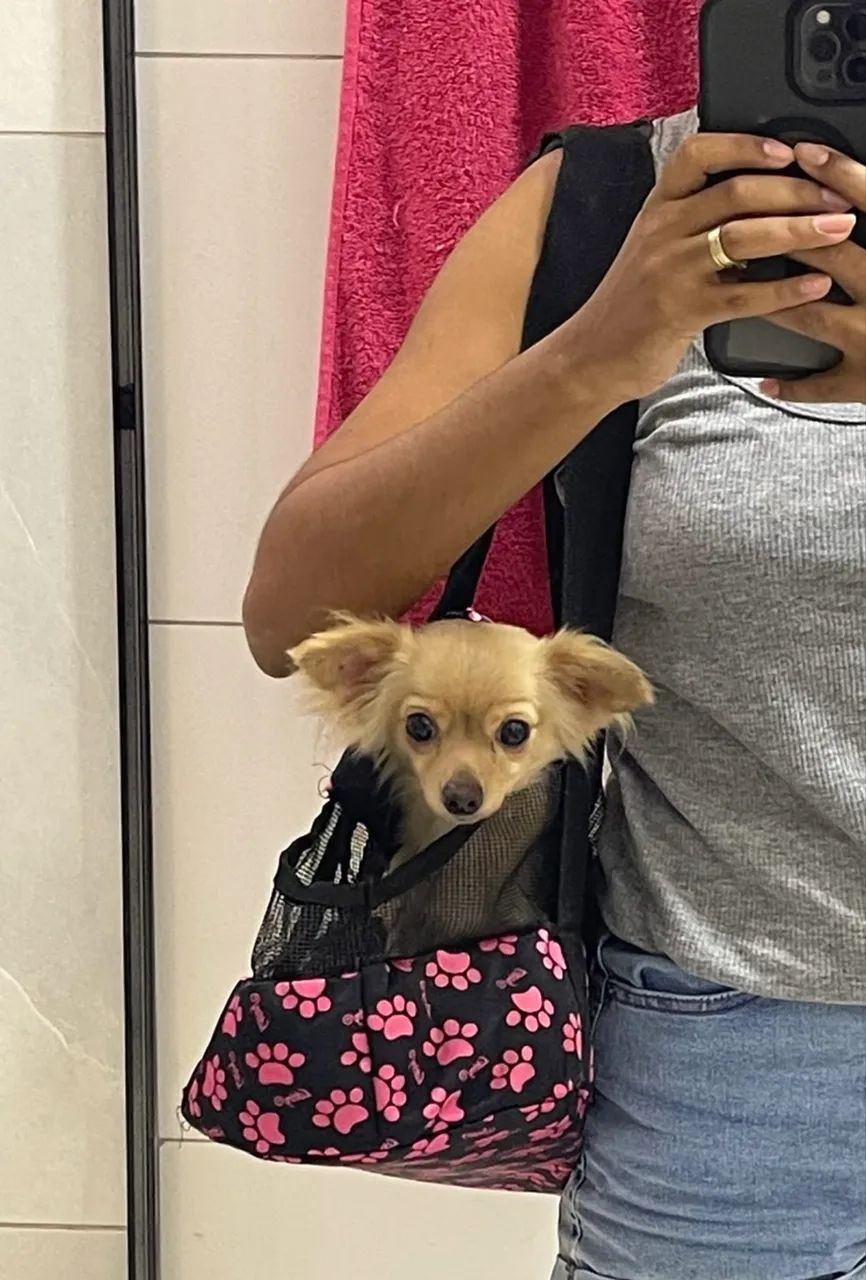 Bolsa de transporte pet