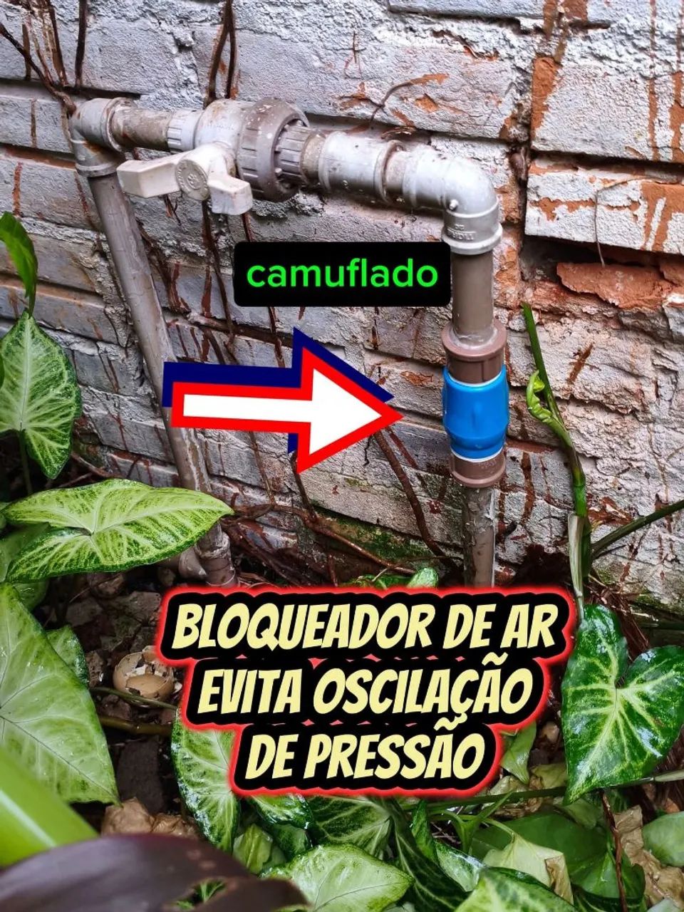 Encanador e marido de aluguel  - Foto 3