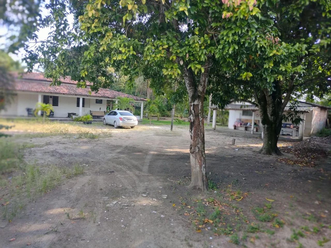 Granja Santa Helena  - Foto 3