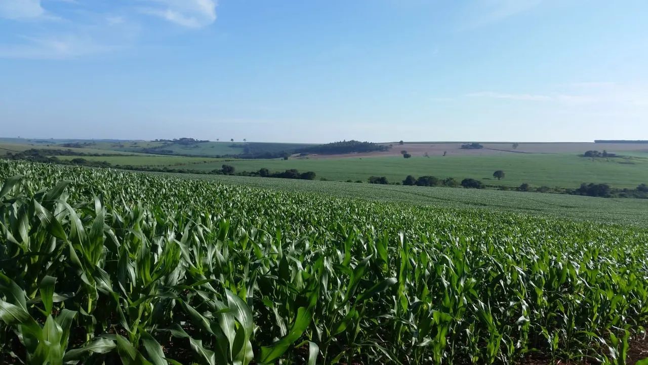 Fazenda avenda  - Foto 2