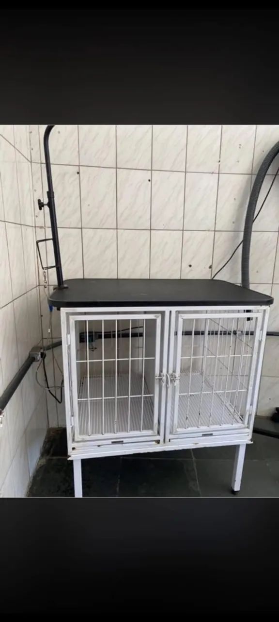 Equipamentos para banho e tosa  - Foto 4