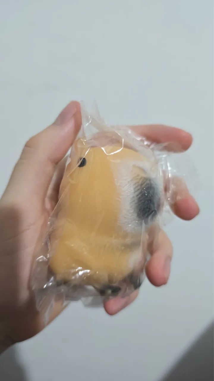 Capivara de brinquedo de apertar- anti estresse  - Foto 3
