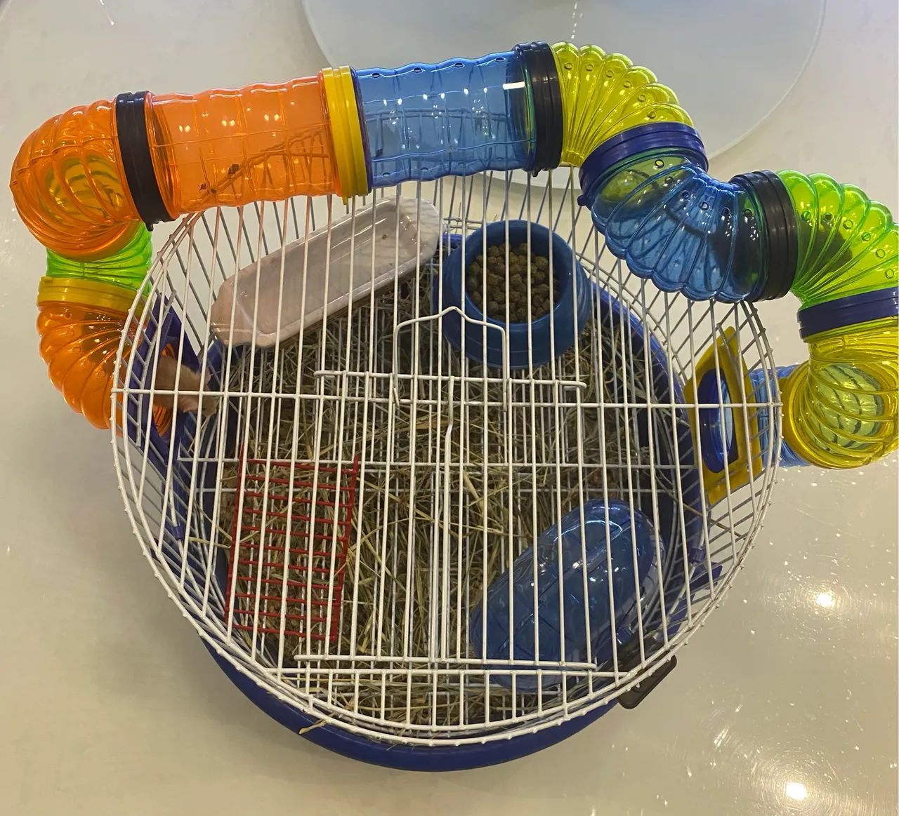 Casa de hamster completa junto a dois camundongos - Foto 2