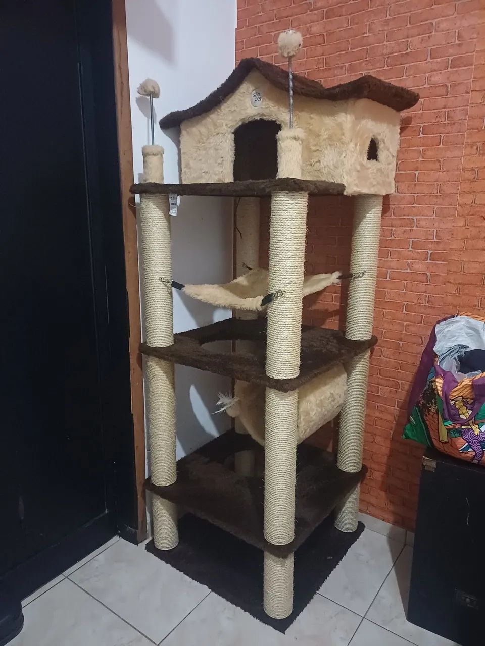 Aranhdor de gato