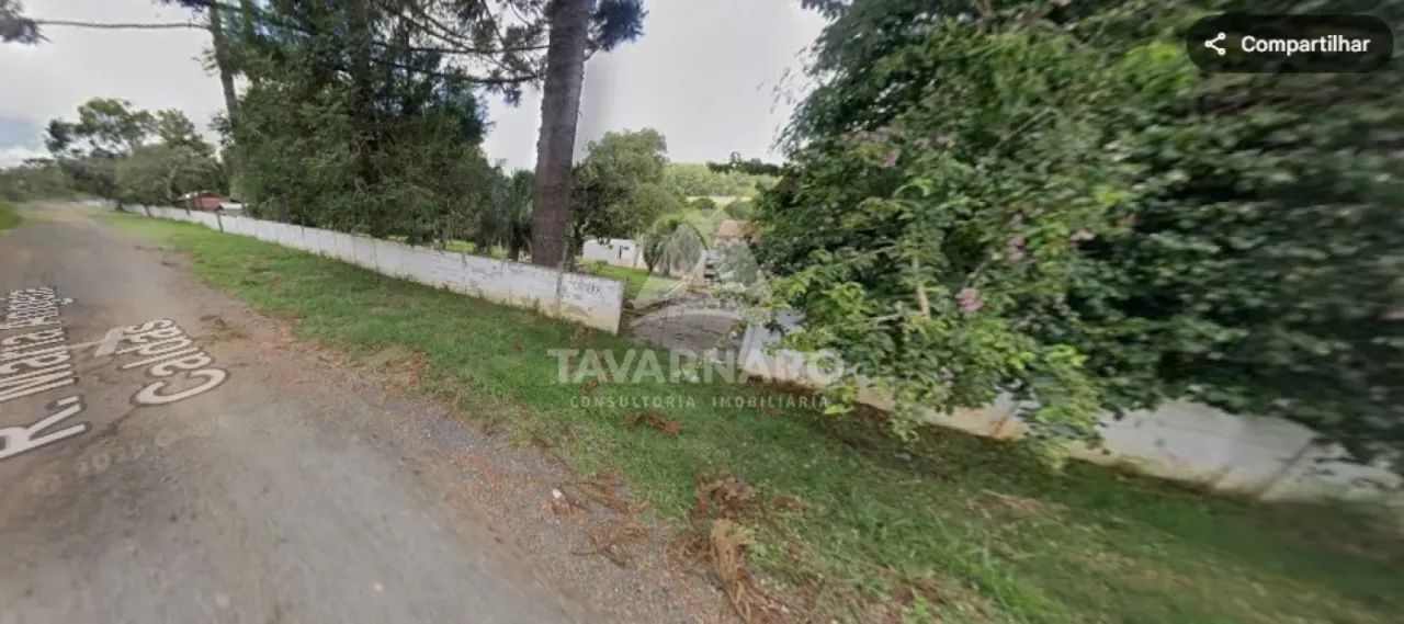 Terreno a venda em Uvaranas - Foto 5