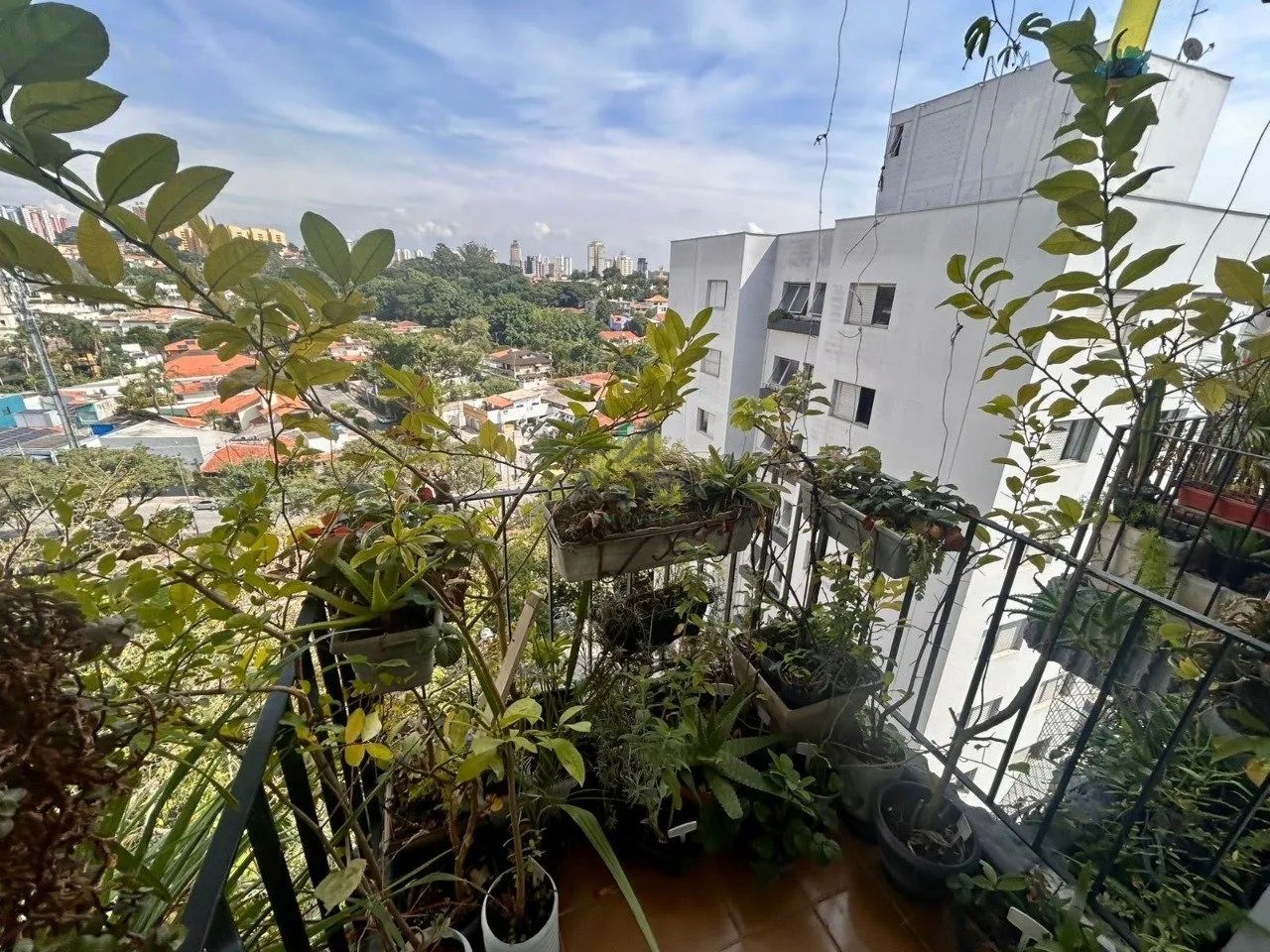 Apartamento à venda com 65m², 2 dormitórios e 1 vaga de garagem - Vila Progredior - Foto 3