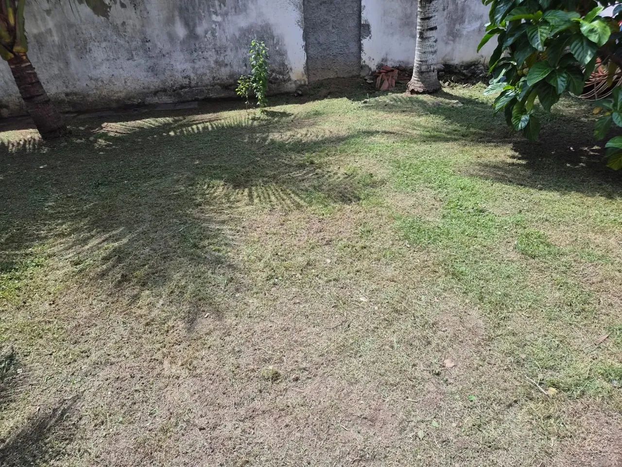 LIMPEZA DE TERRENO  - Foto 4