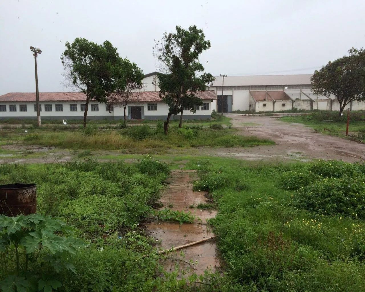 GALPAO INDUSTRIAL em SÃO LUÍS - MA, BR - Foto 4