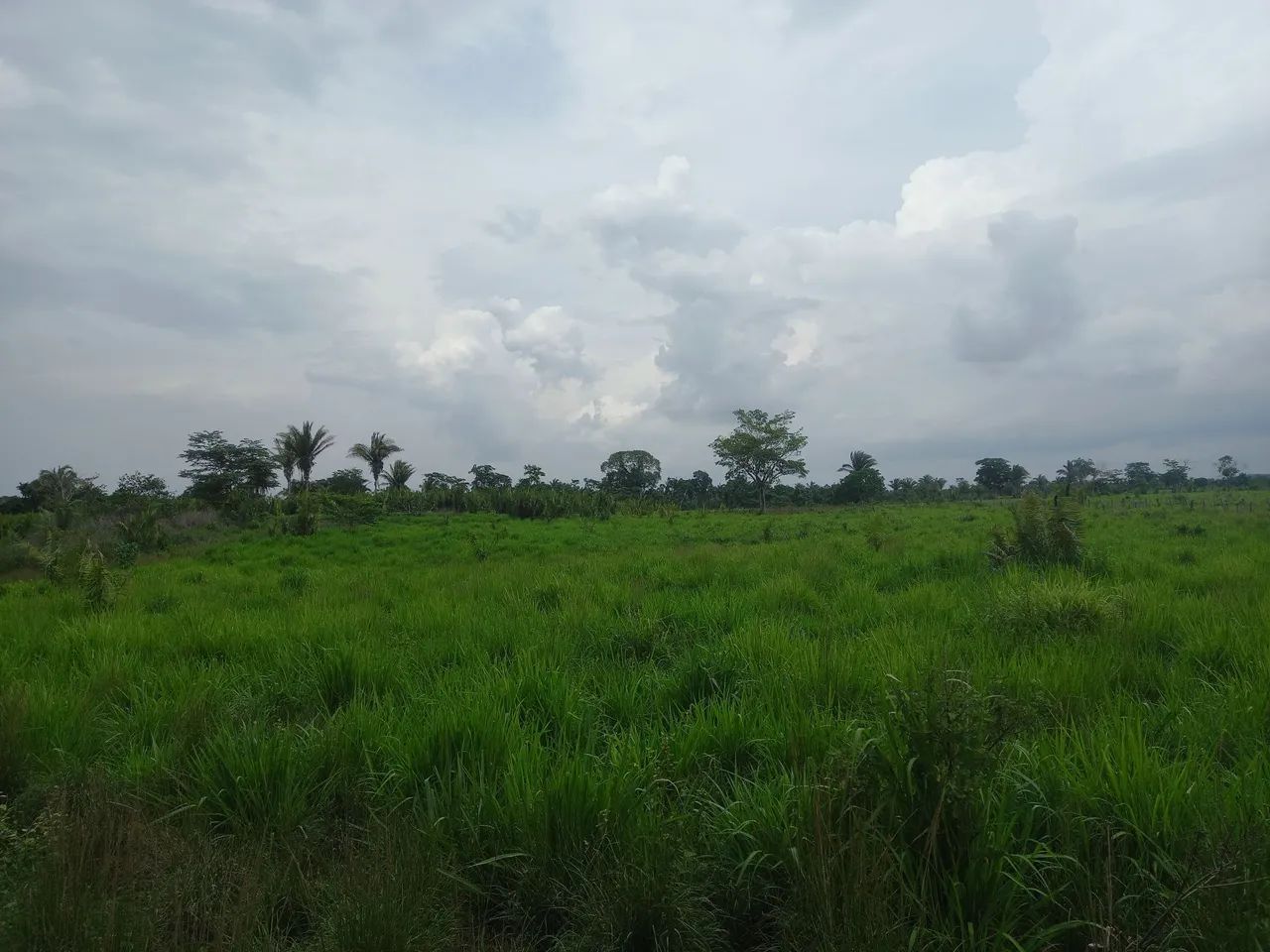 Fazenda São Cristóvão 02 - Foto 7