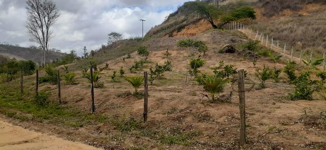 Terreno em Colatina ES