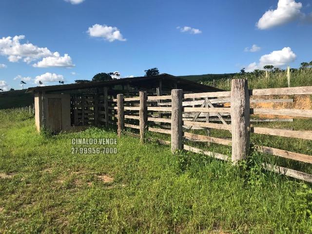 Fazenda em Nova Venécia ES com 25 alqueires (121 hectares) - Foto 10