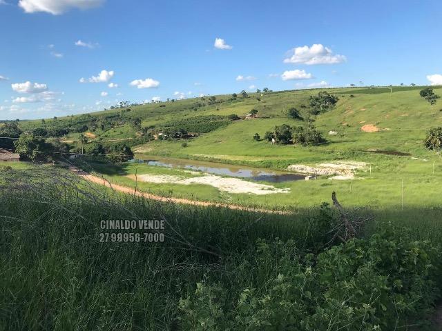Fazenda em Nova Venécia ES com 25 alqueires (121 hectares) - Foto 19