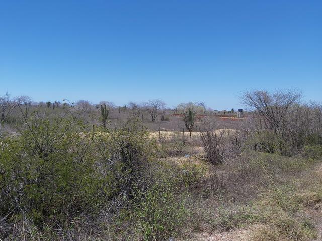 Vendo 1 tarefa de terra