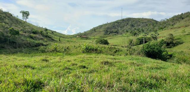 Fazenda 307 hectares localizada na Região sudene em Itambacuri, Leste de Minas Gerais - Foto 3
