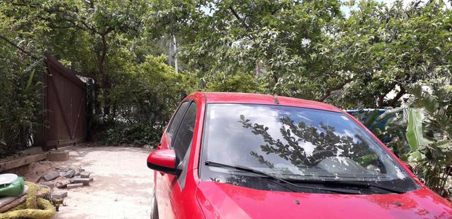 Alugo casa na Enseada de Brito , Diária! - Foto 11