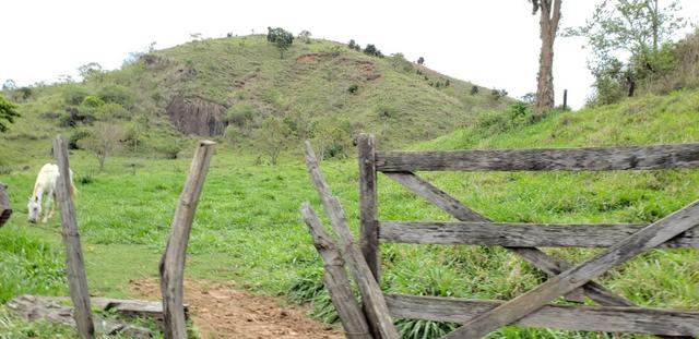 Fazenda 307 hectares localizada na Região sudene em Itambacuri, Leste de Minas Gerais - Foto 6
