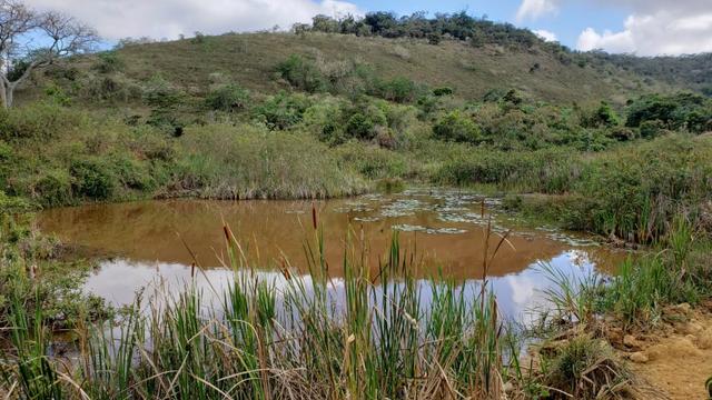 Fazenda 307 hectares localizada na Região sudene em Itambacuri, Leste de Minas Gerais - Foto 17