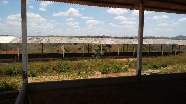 Chã de Alegria=Vend-145 mil=Sítio com 3 Hrct.Galpão,Casa,Água,Energia e mais - Foto 4