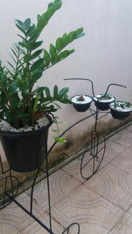 Bicicleta de jardim